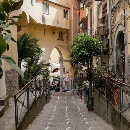 Pensión Spazio Cmm- Sant'arpino *